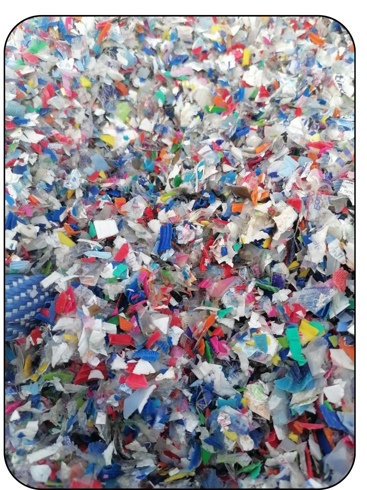 WhatsApp Image 2025-10-28 at 13.48.44 (1)